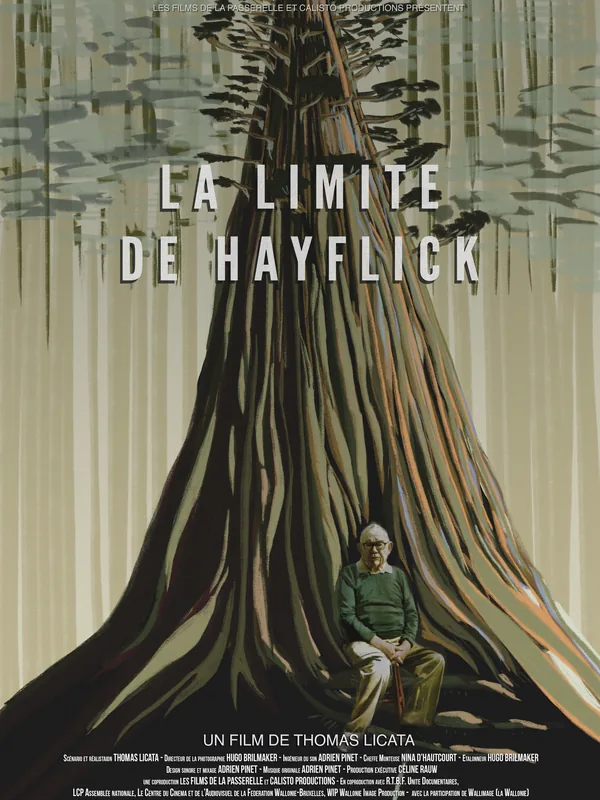 La limite de Hayflick